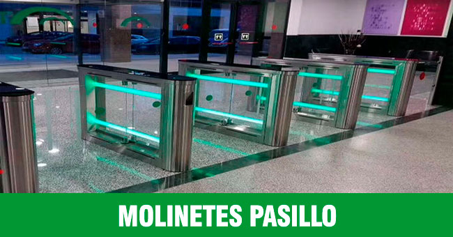 transpalock control de acceso peatonal molinetes galton systems venta camaras de seguridad surco lima peru